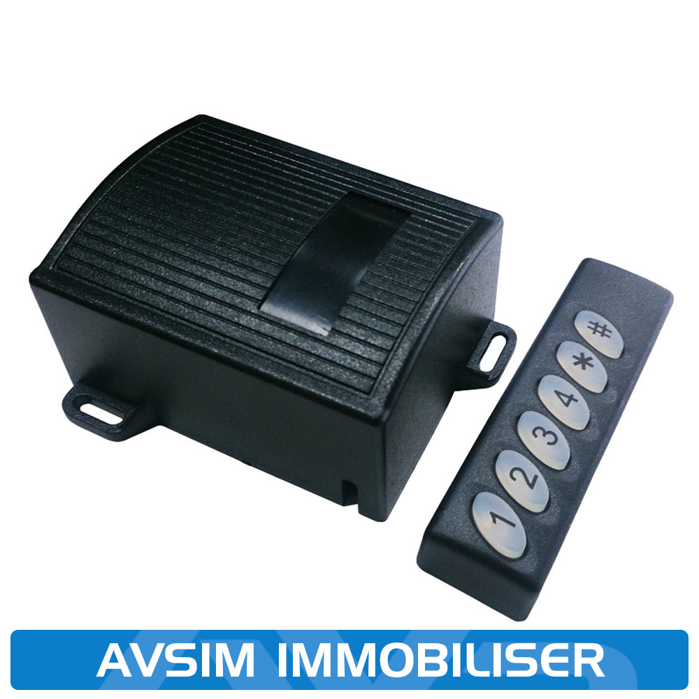 AVSIMM.jpg